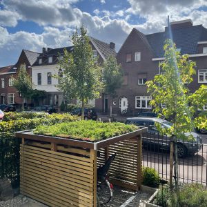 Biodivers-Dachpaket Sedum 50% und einheimische Kräuter 50% – Wasserspeicher 35 Liter pro m²