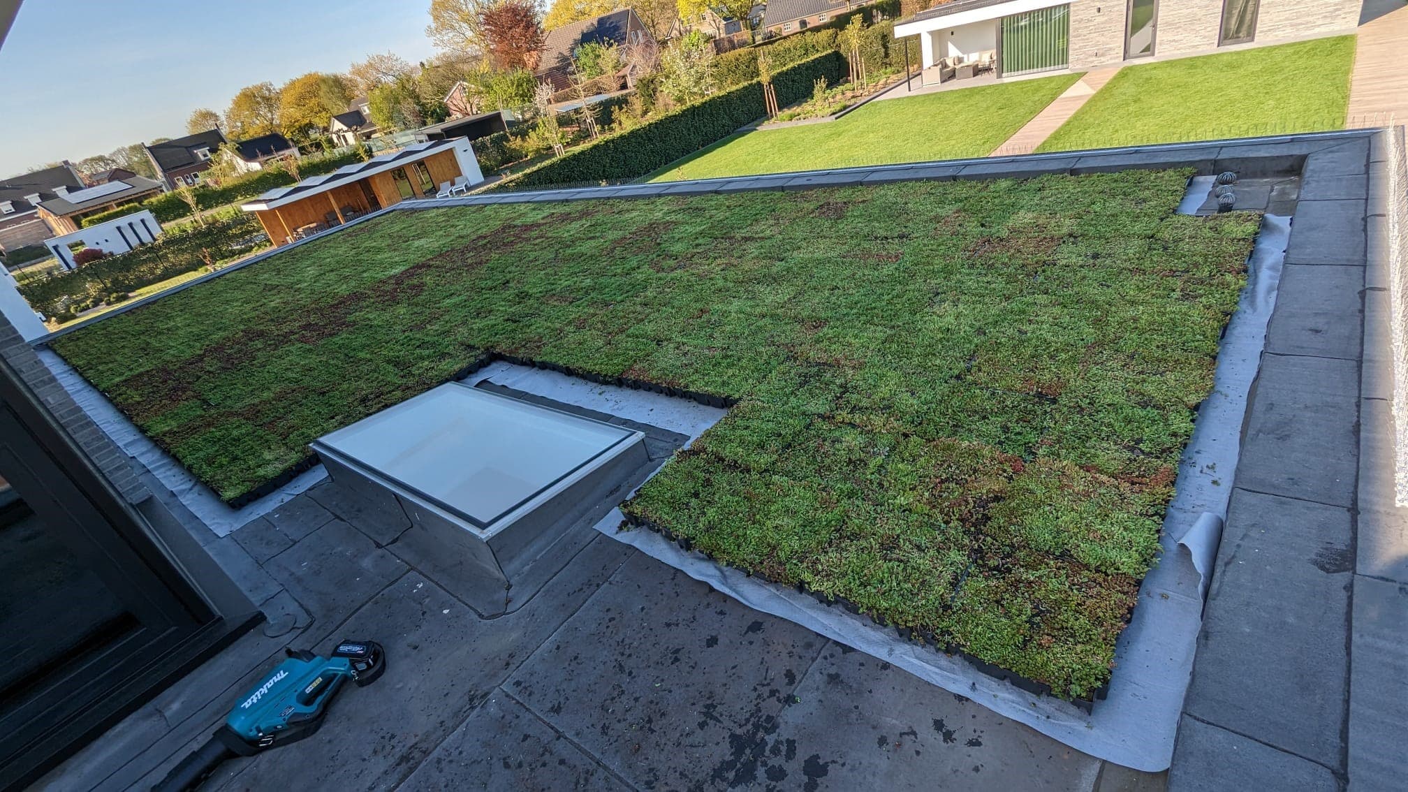Sedummatten – kant-en-klare groendakmatten voor tuin en dak – Bild 17