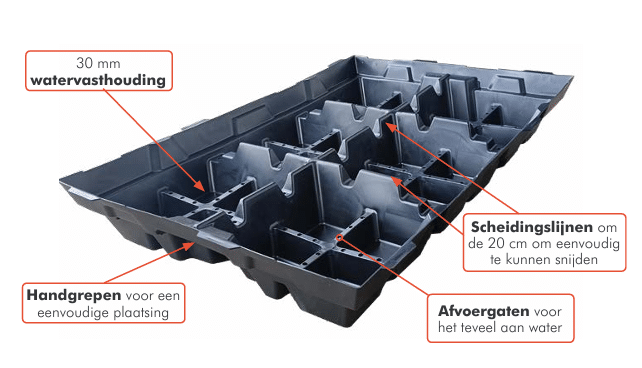 Sedum kruiden cassette met inheemse kruiden compleet pakket – Bild 5