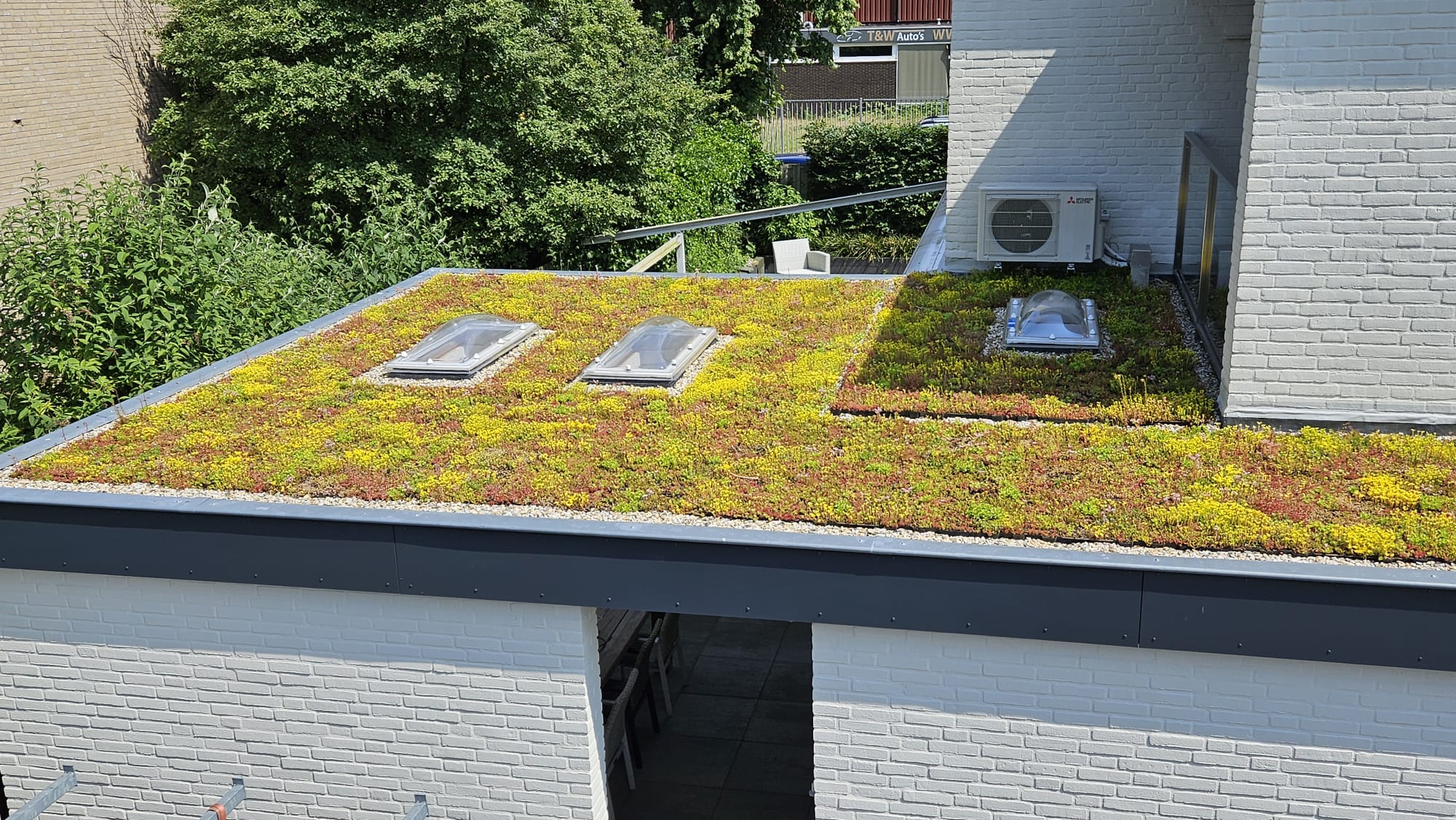 Sedum lichtgewicht cassettes standaard groendak compleet pakket – Bild 3