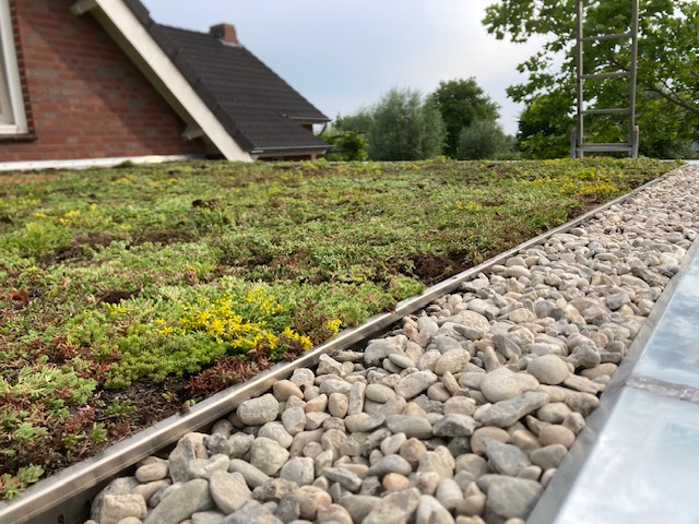 Sedum pakket licht hellend waterbuffer 32 liter per m² – Bild 2