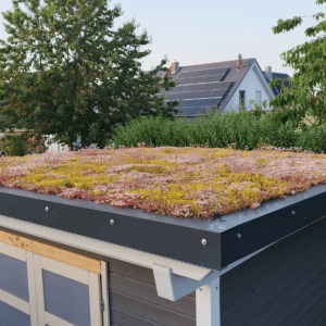 Super leichte Kassetten ideal für Tiny-House Gründach