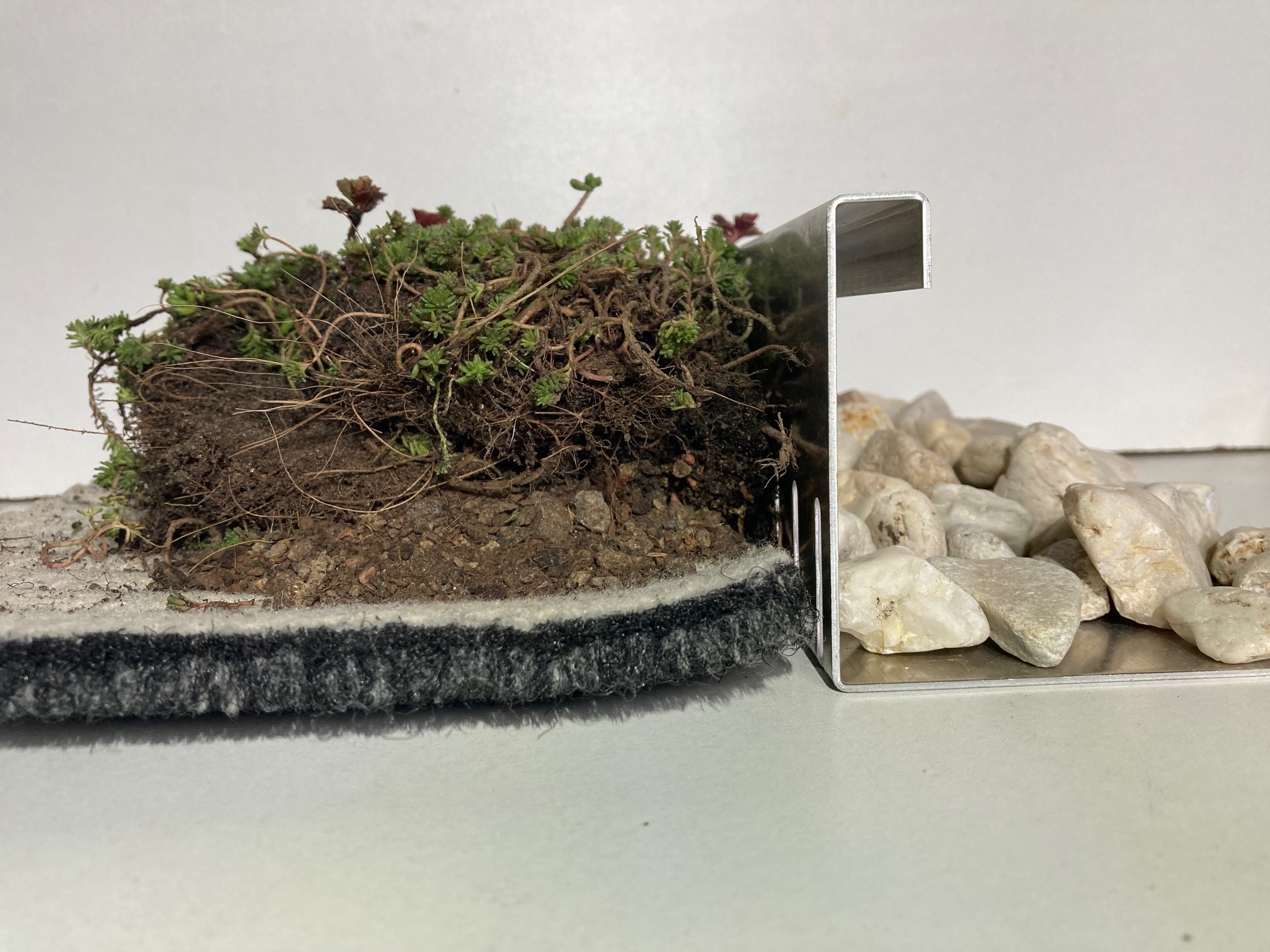 Sedum pakket licht hellend waterbuffer 32 liter per m² – Bild 7