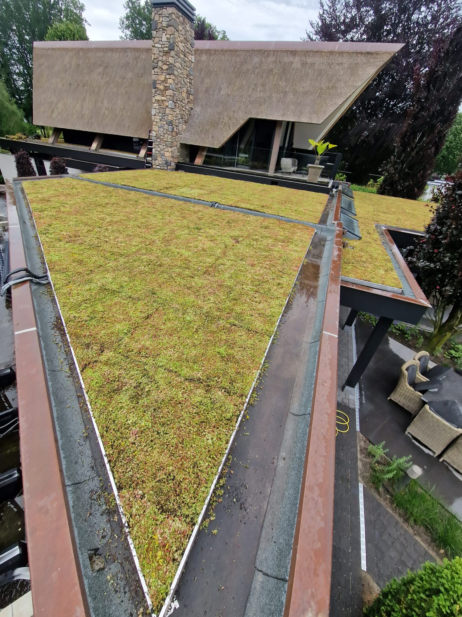Sedum plat dak pakket grote waterbuffer 40 liter per m² – Bild 2