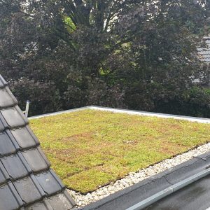 Sedum Leichtgewichtkassetten Komplettpaket Gründach