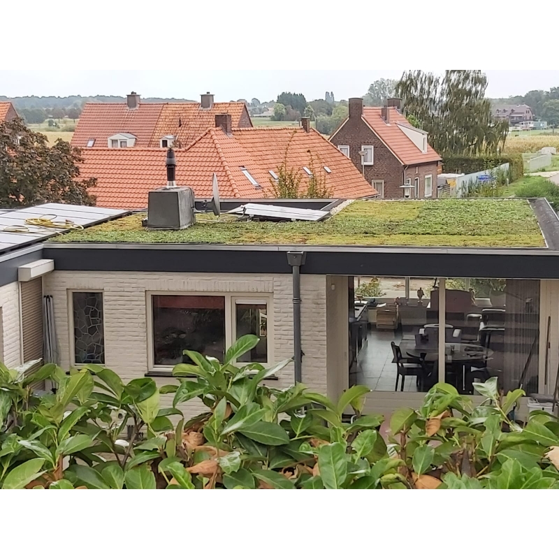 Standaard Sedum lichtgewicht pakket waterbuffer 32 liter per m² – Bild 8