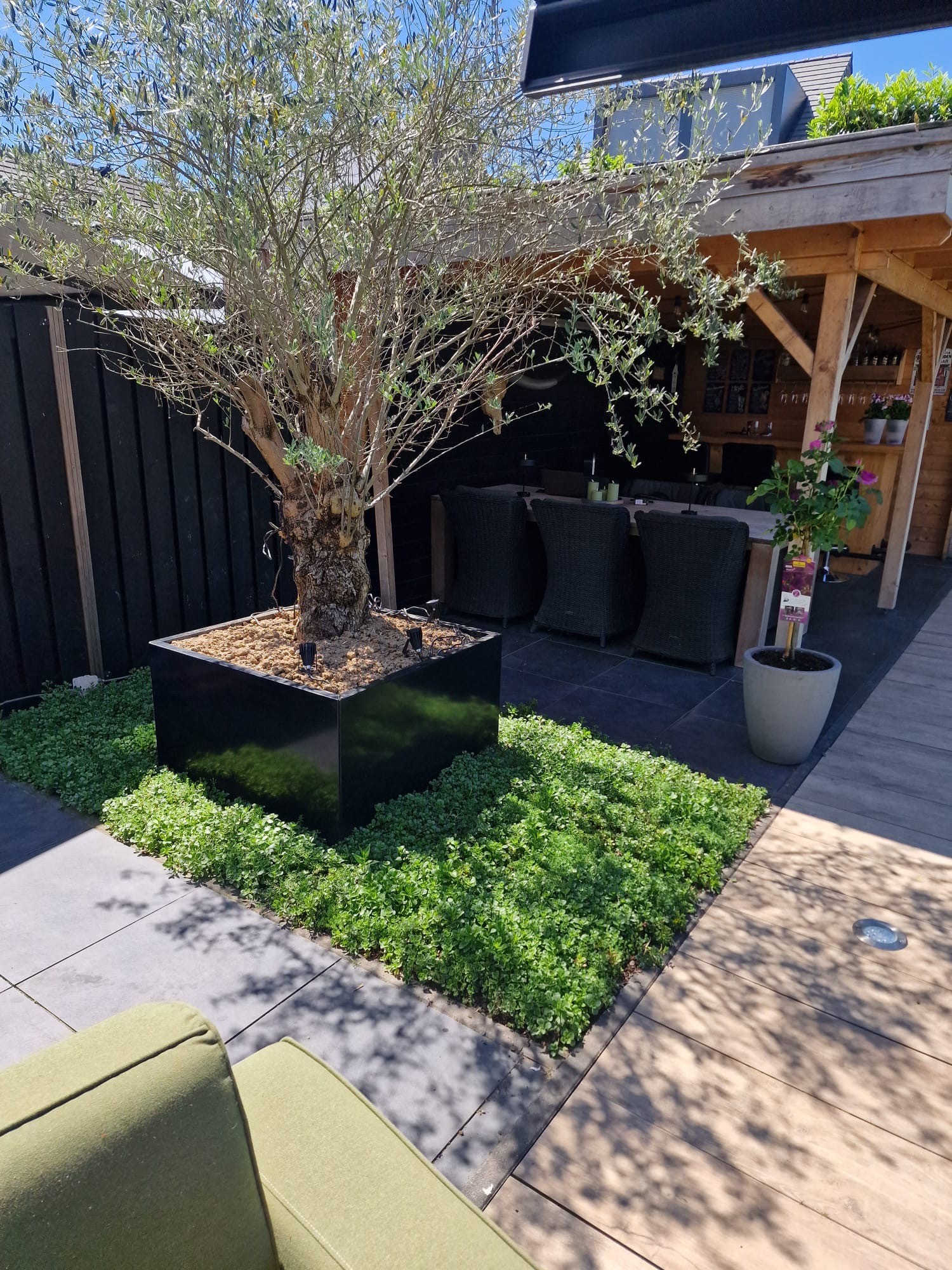 Sedummatten kant-en-klare groendakmatten für Garten und Dach