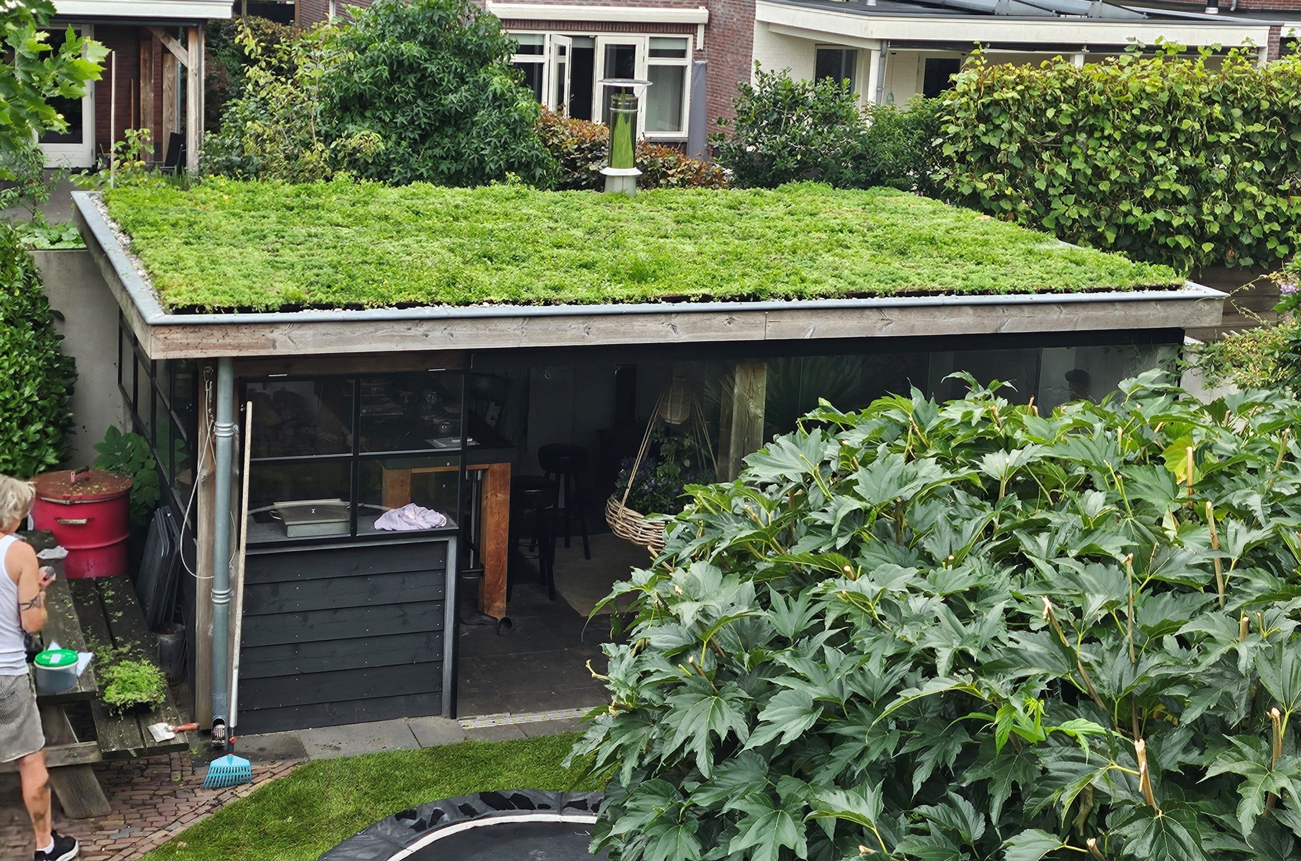 Compleet Biodivers cassette pakket groendak Kruiden en 50% Sedum wateropslag 35 liter per m² – Bild 2